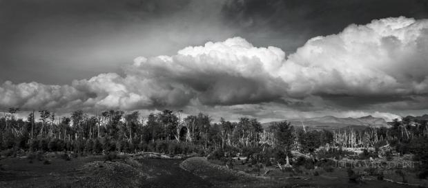 Arroyo fueguino, Tierra del Fuego, 2013.