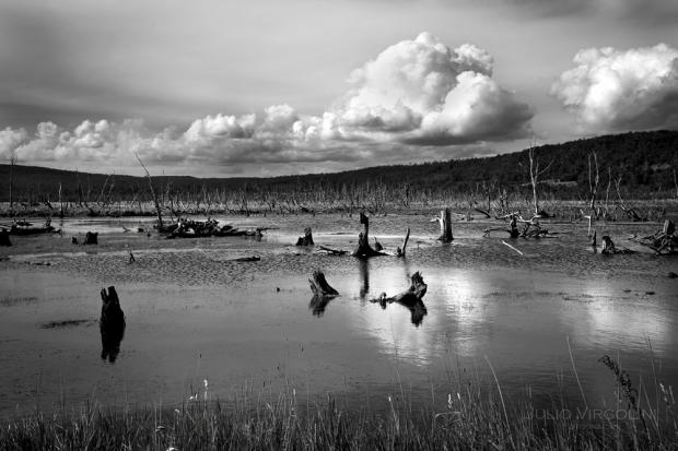 Bañado, Tierra del Fuego, Argentina 2013.