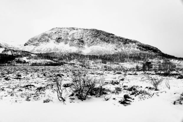 Desolación, Noruega