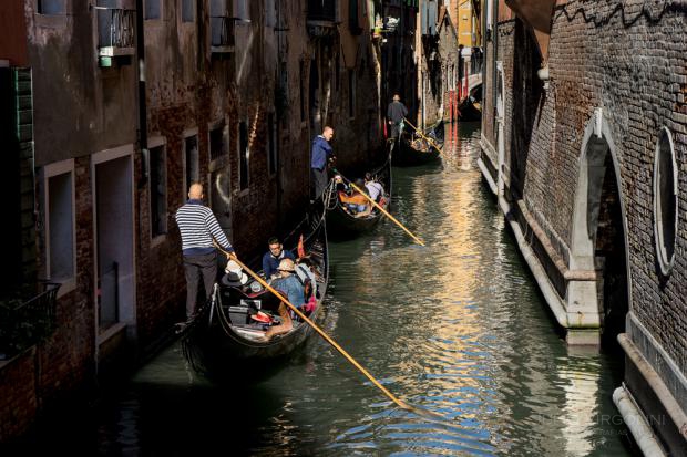 In fila, Venezia 2016.